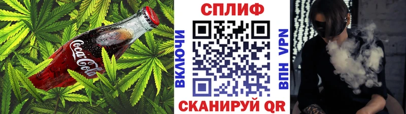 Canna-Cookies марихуана  Новая Ладога 