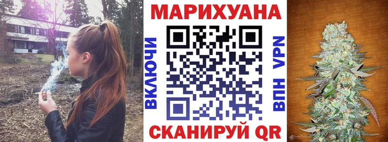 Конопля план  купить закладку  кракен рабочий сайт  Новая Ладога 